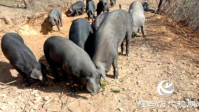 冬日送暖，愛滿天中：愛心企業(yè)物資發(fā)放，回饋社會(huì)暖人心