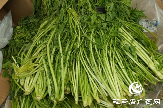 正陽(yáng)縣：電商賦能“土特產(chǎn)” 連接鄉(xiāng)村“振興路”