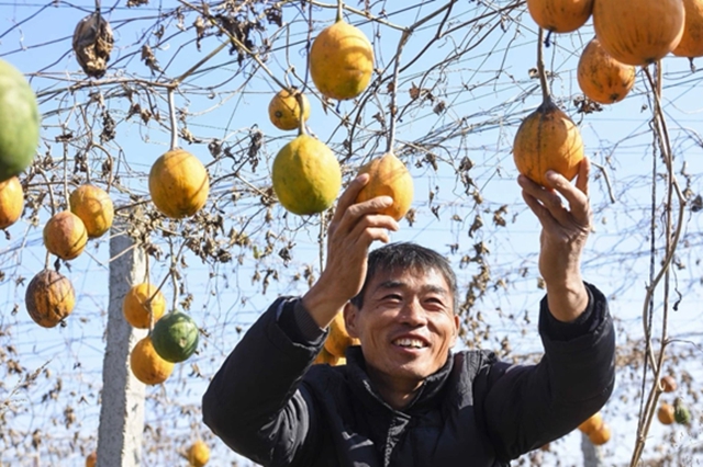 正陽縣：電商賦能“土特產(chǎn)” 連接鄉(xiāng)村“振興路”