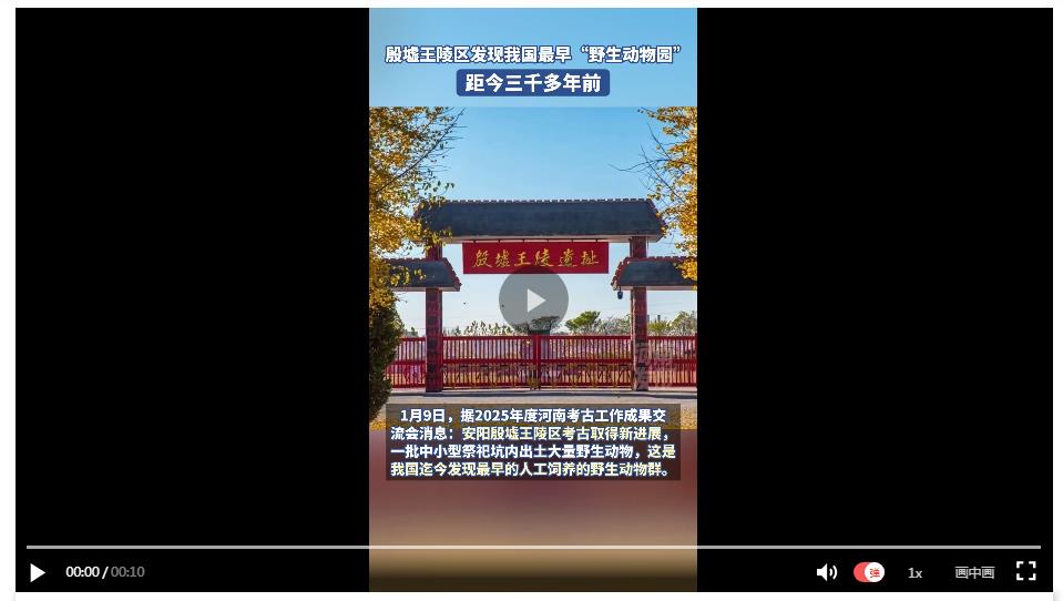 殷墟王陵區(qū)發(fā)現(xiàn)我國(guó)最早“野生動(dòng)物園”