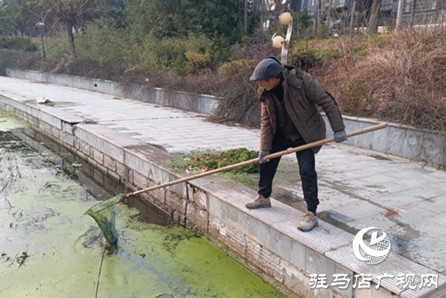 駐馬店市園林綠化中心：清理開源河水草 守護河道生態(tài)環(huán)境