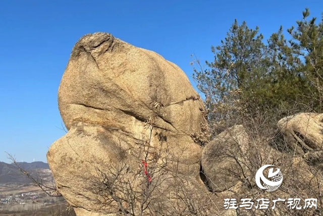 【大美天中】光影喚醒奇石 鏡頭定格鄉(xiāng)愁