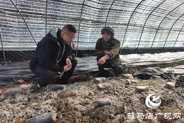 上蔡縣楊屯鄉(xiāng)楊仕位村：黨建引領(lǐng)產(chǎn)業(yè)興 鄉(xiāng)村振興路更寬