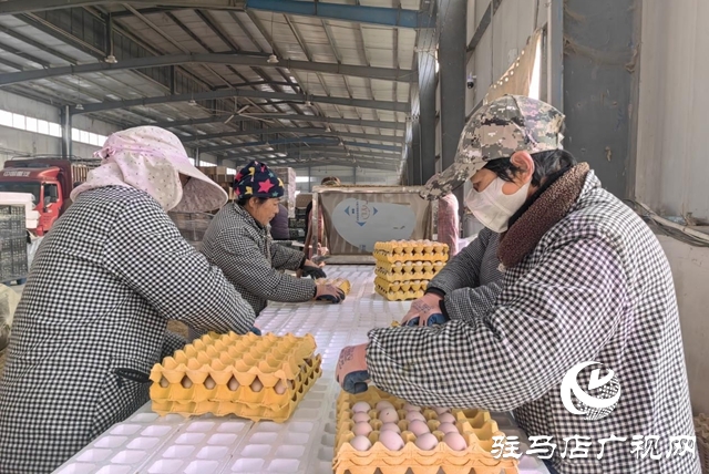 駐馬店市驛城區(qū)：合作社里就業(yè)忙 鄉(xiāng)村振興畫卷新