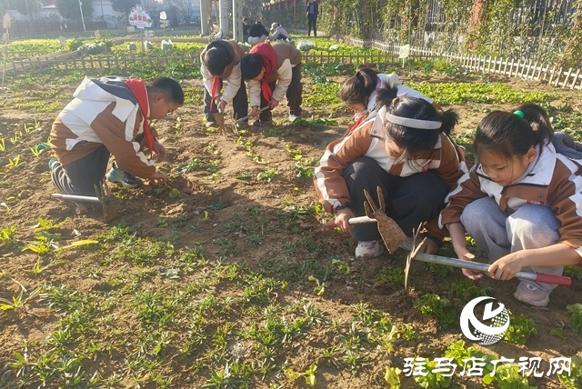 金雀路小學“愛心集市”開市！小學生變身“帶貨”小能手