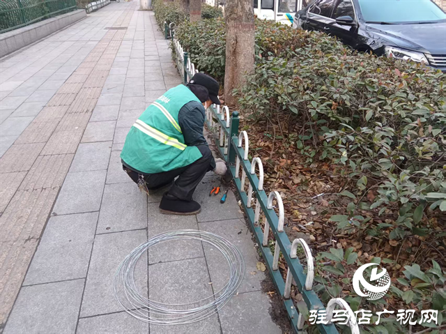  開發(fā)區(qū)城市管理事務(wù)中心：以“護(hù)”為責(zé) 開展綠化護(hù)欄維修行動(dòng)