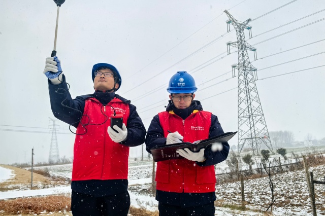 國網(wǎng)駐馬店供電公司:全力抗擊雨雪冰凍保供電