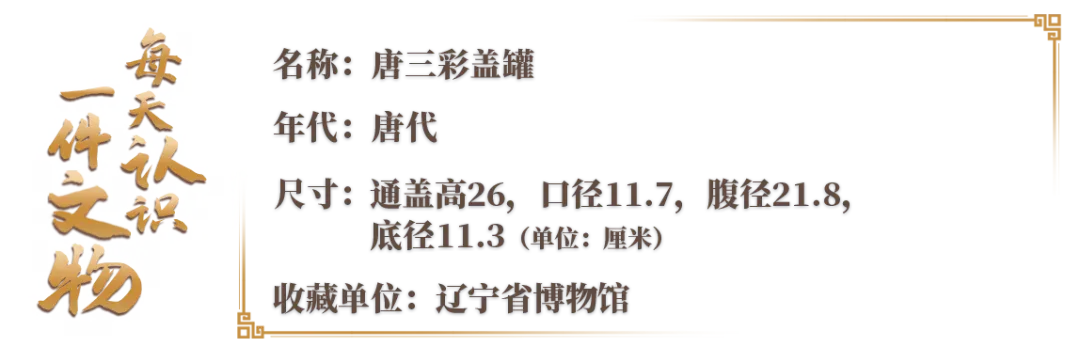 文博日歷丨陶罐也講究“穿搭” 來自大唐的陶藝美學