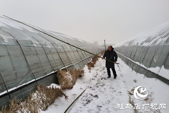 驛城區(qū)香山街道：黨建引領(lǐng)戰(zhàn)風(fēng)雪 干群同心保民生