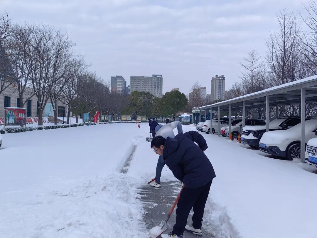 以雪為令，志愿先行！駐馬店市文化廣電和旅游系統(tǒng)全力開(kāi)展鏟冰除雪志愿服務(wù)