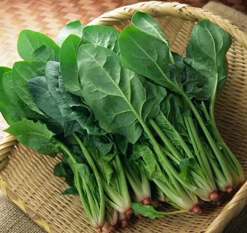 改善飲食習慣守護健康 癌癥最怕這3類食物