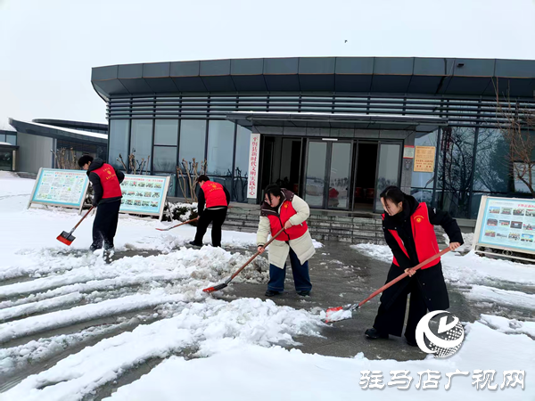 平輿縣新時代文明實(shí)踐中心在天水湖公園開展清雪除冰志愿服務(wù)活動