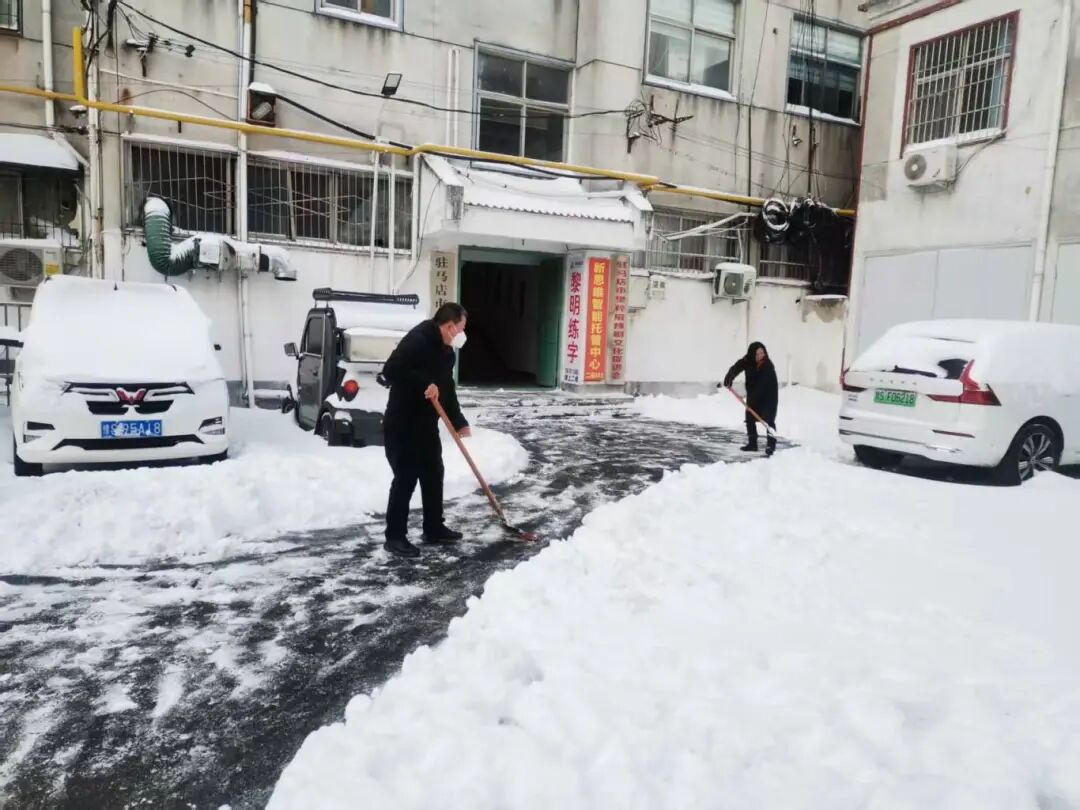 以雪為令，志愿先行！駐馬店市文化廣電和旅游系統(tǒng)全力開(kāi)展鏟冰除雪志愿服務(wù)