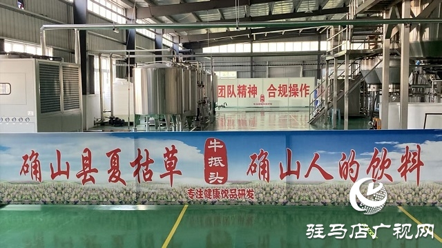 確山夏枯草&ldquo;鏈&rdquo;上發(fā)力 實現(xiàn)道地藥材到暢銷涼茶的產(chǎn)業(yè)躍升