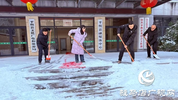平輿縣清河街道：破冰除雪保民生 貼心服務(wù)暖人心