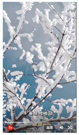 冰雪春天｜科技賦能 產業(yè)花開