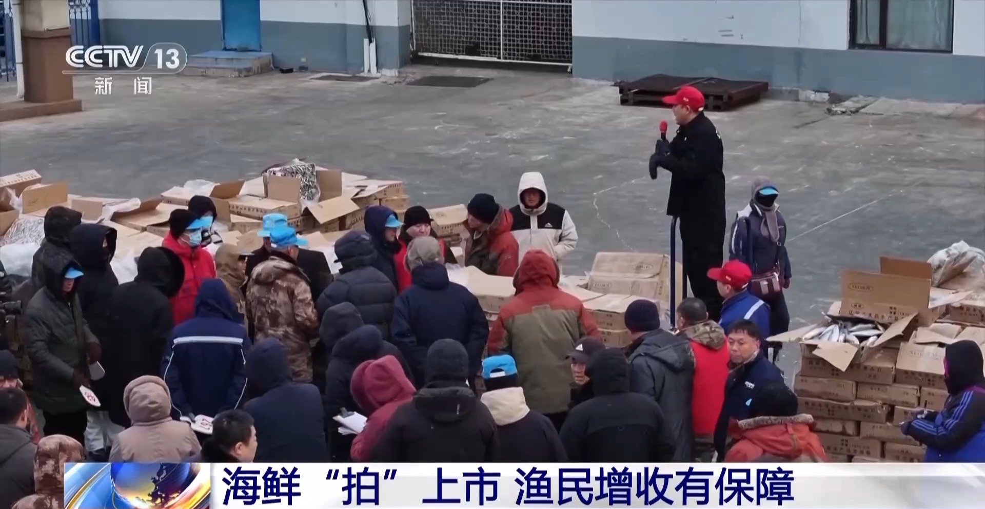 拍賣競(jìng)價(jià)、設(shè)施煥新……冬日水產(chǎn)品搶“鮮”上市
