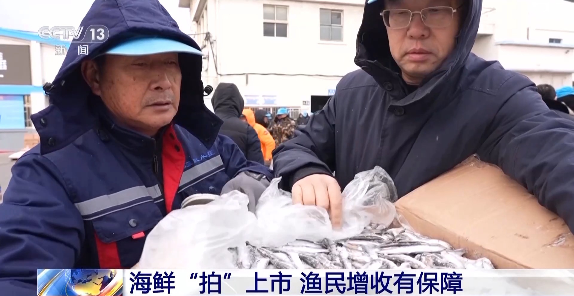 拍賣競(jìng)價(jià)、設(shè)施煥新……冬日水產(chǎn)品搶“鮮”上市