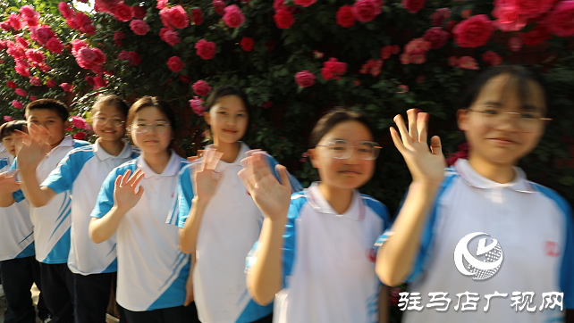 八中薔薇又開了