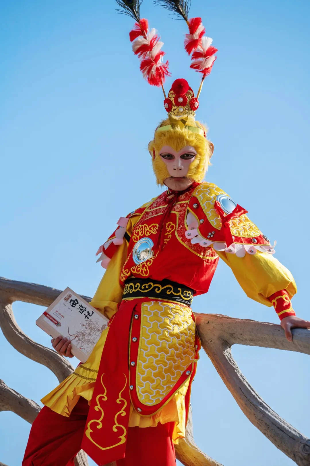 限時福利丨購買優(yōu)惠套票，免景區(qū)門票！