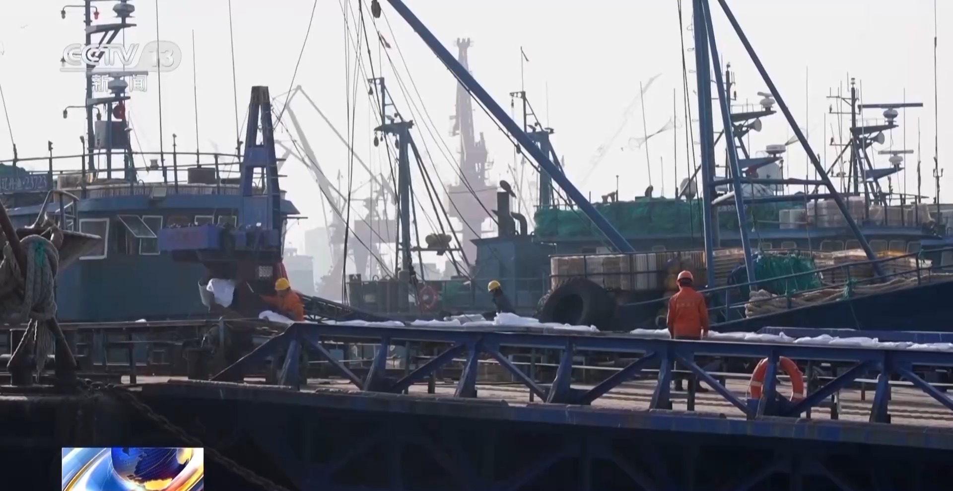 拍賣競(jìng)價(jià)、設(shè)施煥新……冬日水產(chǎn)品搶“鮮”上市