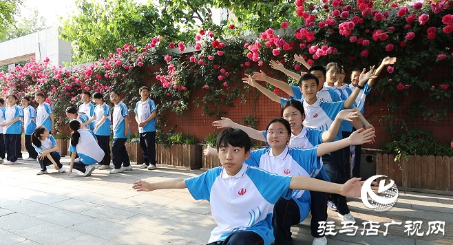 八中薔薇又開了