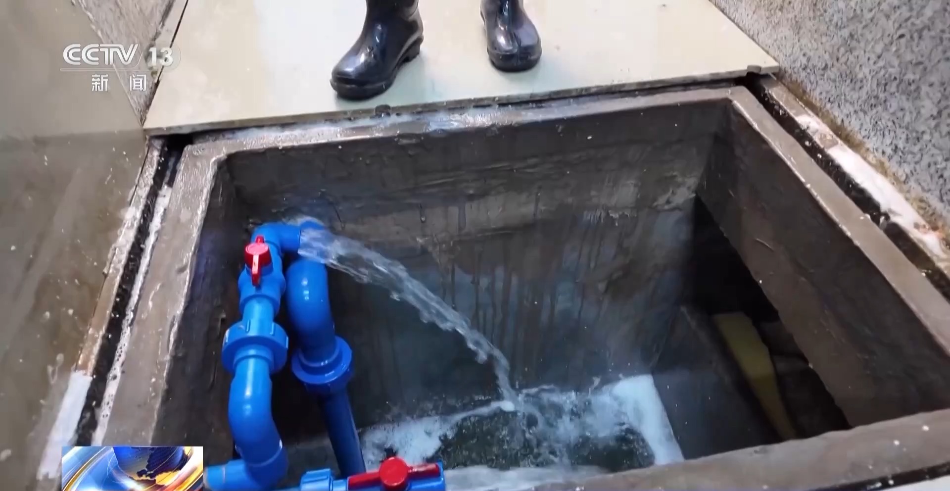 拍賣競(jìng)價(jià)、設(shè)施煥新……冬日水產(chǎn)品搶“鮮”上市