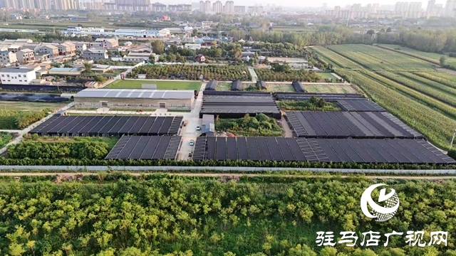 泌陽縣花園街道：農(nóng)文旅融合發(fā)展夯實鄉(xiāng)村振興根基