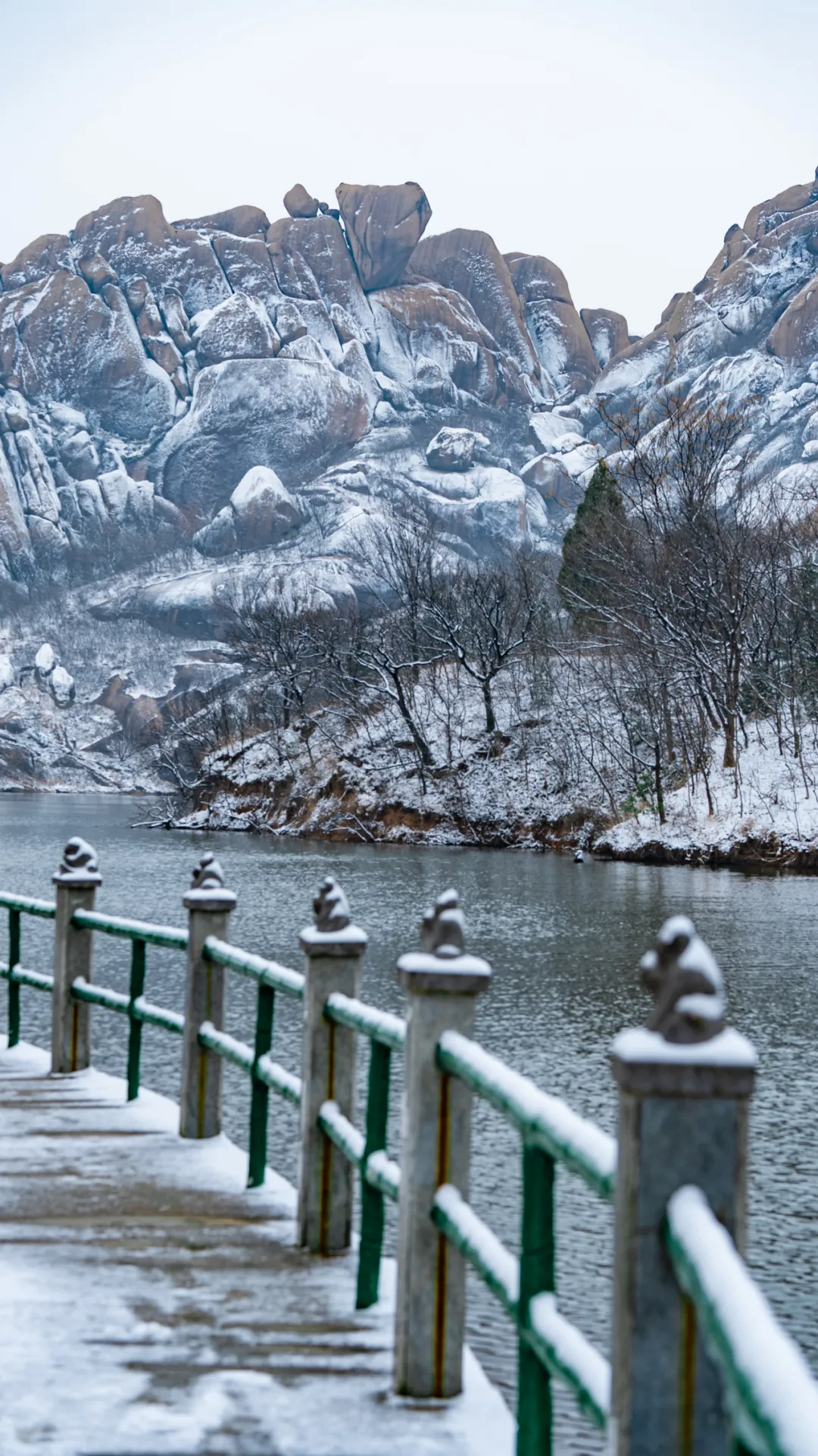 戲韻滿天中，名家賀新春！2026駐馬店新春戲曲晚會邀您共賞