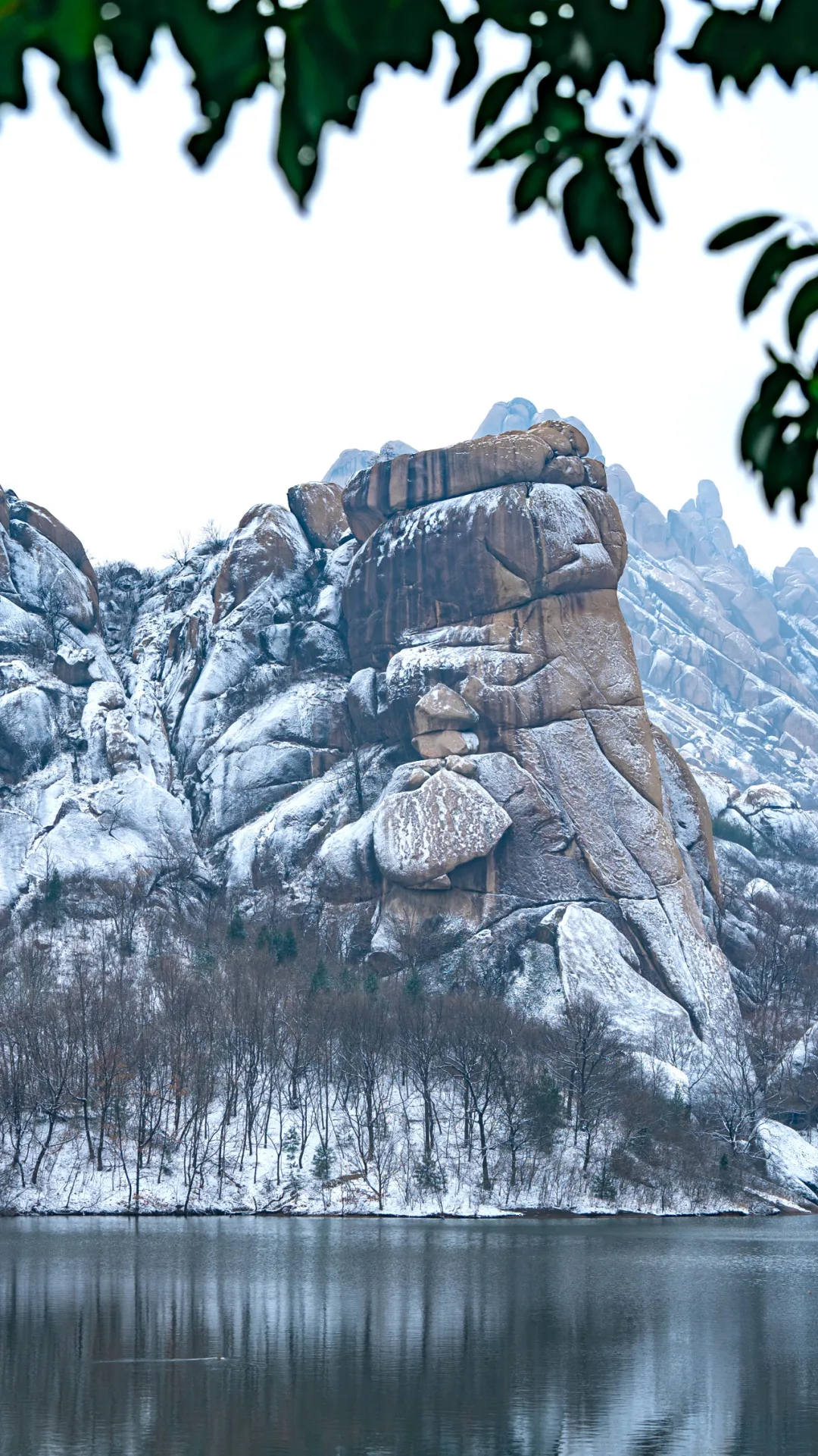 戲韻滿天中，名家賀新春！2026駐馬店新春戲曲晚會邀您共賞