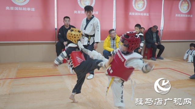 冬日競技燃激情 體育賦能育新苗——驛城區(qū)青少年冬季運動會精彩開賽