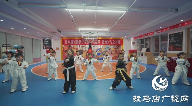 冬日競技燃激情 體育賦能育新苗——驛城區(qū)青少年冬季運動會精彩開賽