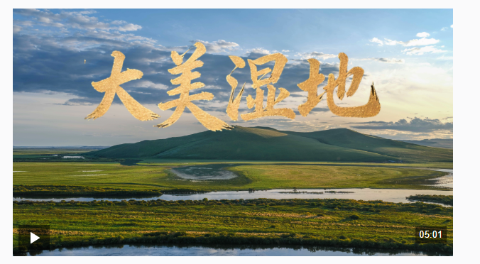 時政微視頻丨大美濕地