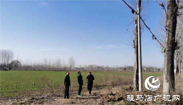駐馬店聯(lián)通深入一線(xiàn)推進(jìn)通信線(xiàn)路隱患整治