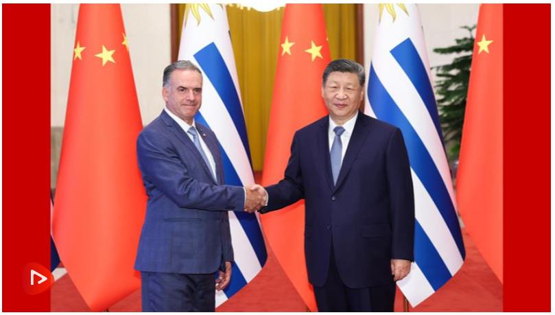 習(xí)近平同烏拉圭總統(tǒng)奧爾西舉行會談