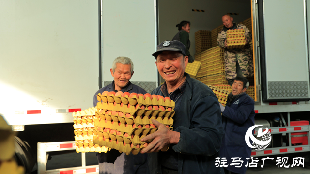 雙節(jié)“蛋”香濃 吉泰保民生