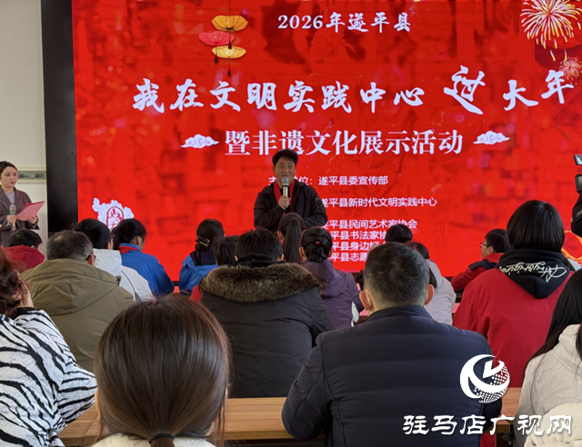 遂平縣：非遺傳承潤(rùn)新春 文化體驗(yàn)樂萬家