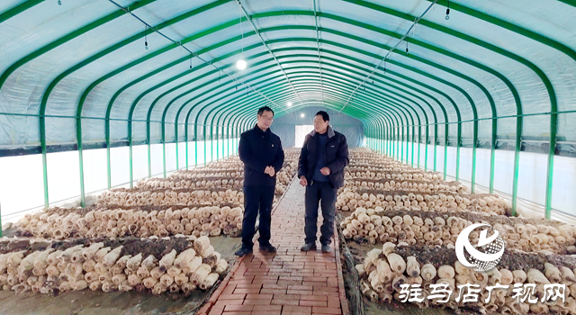 新蔡縣黃樓鎮(zhèn)石家湖村:深學(xué)細(xì)悟全會(huì)精神 繪就鄉(xiāng)村振興新圖景