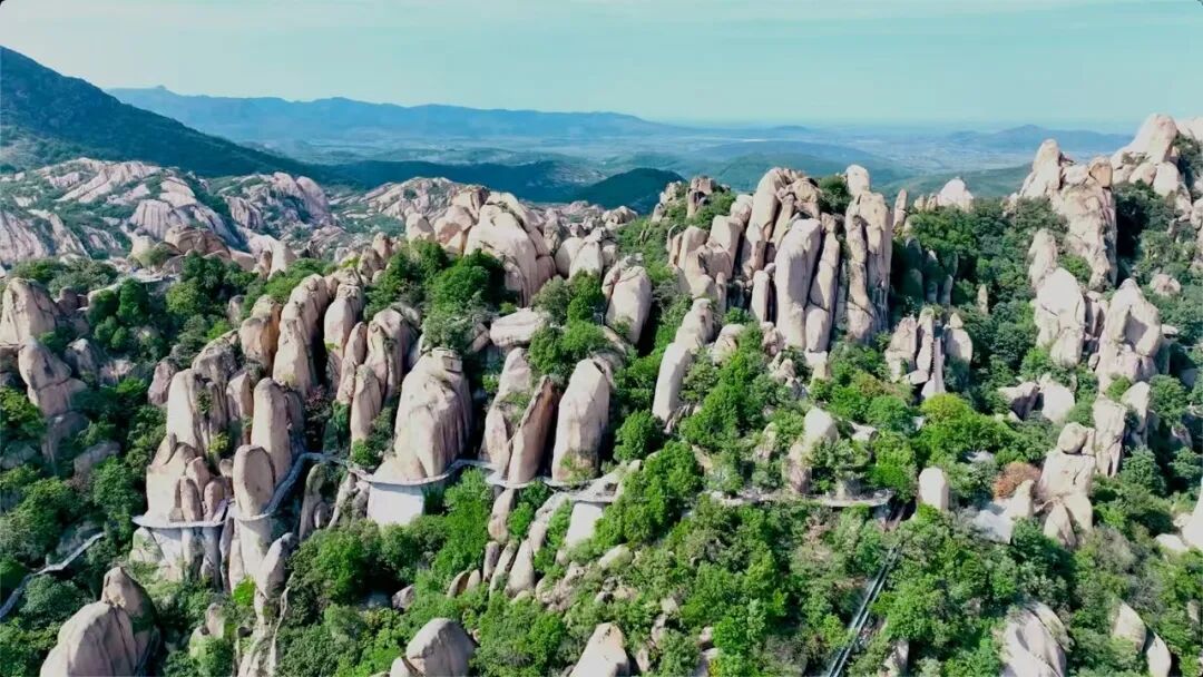 立春啟新，春滿天中｜駐馬店邀你赴一場春日之約