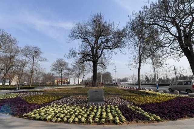 60年前開啟的這項報道，我們代代接力