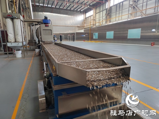 駐馬店沃陽(yáng)食品有限公司：搶抓新春消費(fèi)潮 以實(shí)干拼出新年&ldquo;開門紅&rdquo;