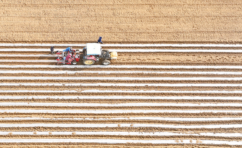 人勤春早農(nóng)事忙