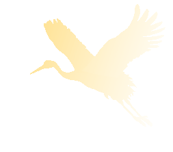 【線上展】“天中駿彩?筆墨迎春”2026年駐馬店市中國美術(shù)家協(xié)會會員作品展（李新國）