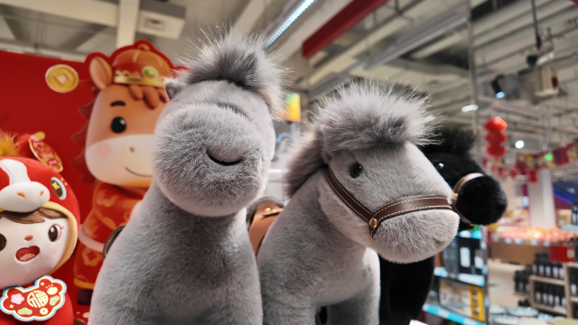 我市春節(jié)市場(chǎng)供應(yīng)貨豐價(jià)穩(wěn) 激活新春消費(fèi)新活力