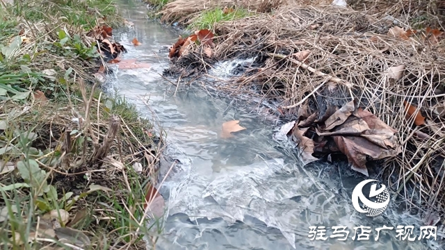 污水不再直排！白橋路管網(wǎng)改造即將竣工 實現(xiàn)全收集處理