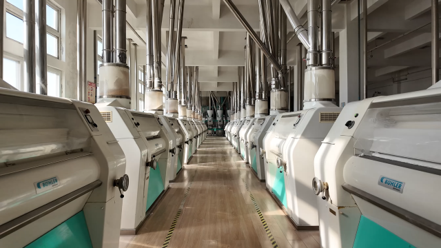 一加一面粉：智造發(fā)力 沖刺2026年一季度開門紅