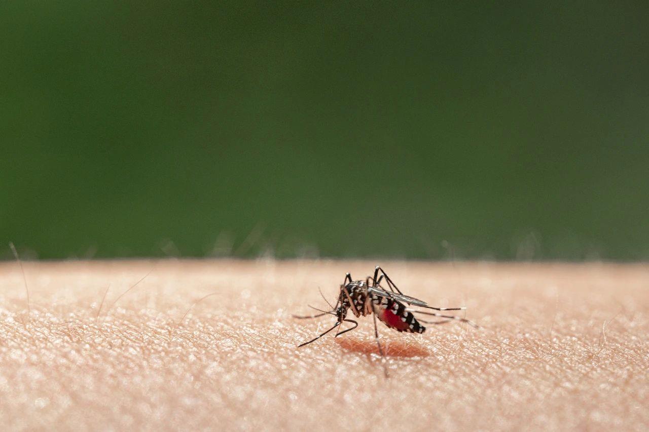 2月流感、諾如仍然活躍 這份假期健康風(fēng)險(xiǎn)提示請(qǐng)查收