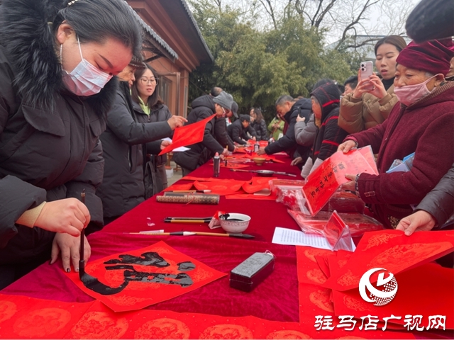 驛城區(qū)年貨大集開市 “羋月古村”年味濃活力足