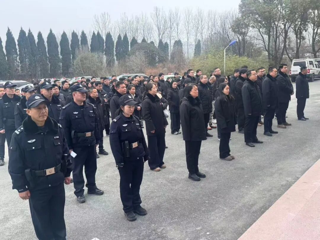 城區(qū)法院2026年第8次集中執(zhí)行行動成效顯著