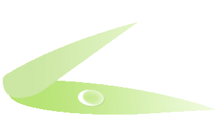 馬躍新春游天中 | 景區(qū)惠民福利指南來啦~